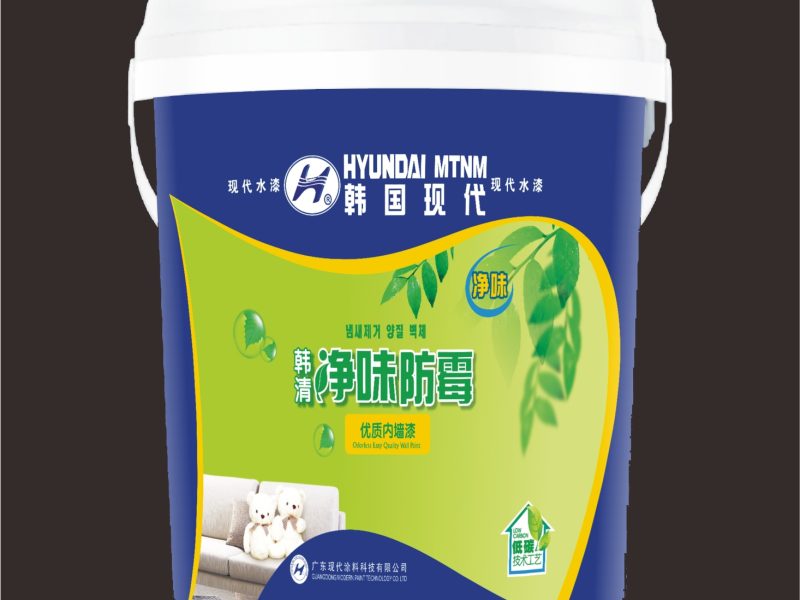 Exterior Wall Paint